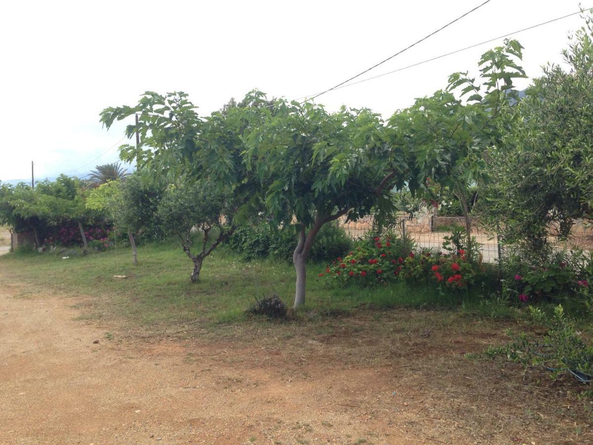 Kioni Villas Frangocastelo Ngoại thất bức ảnh
